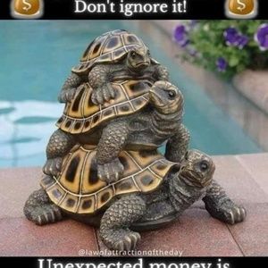 Meet your Posher, Satyaroopa